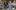 2018-06_LGYT_Puppeteering (31)_© Maria Spadafora Four young people sit relaxed close together.