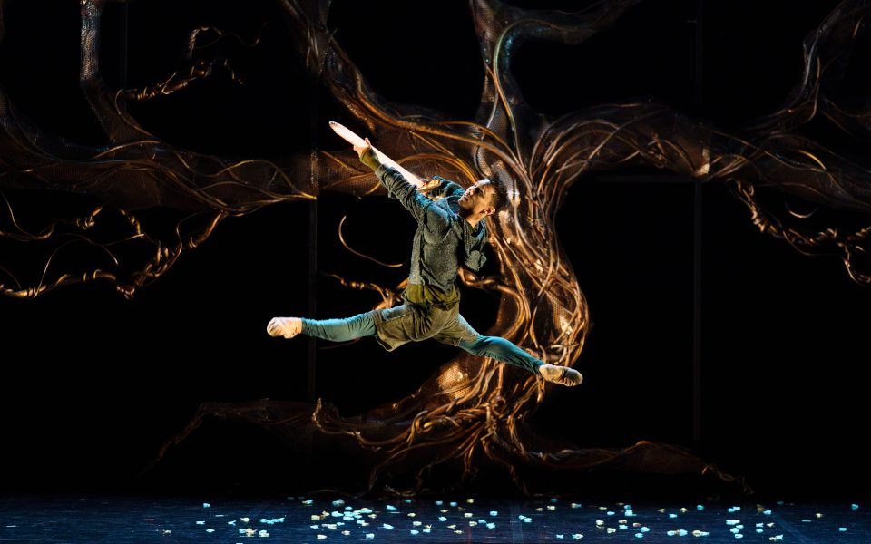 Ballet dancing in Merlin