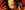 Orpheus Orpheus - close-up of a woman's face with a nose piercing and flames