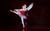 The sugar plum fairy Two ballet dancers in a hold together. One wears a pink tutu