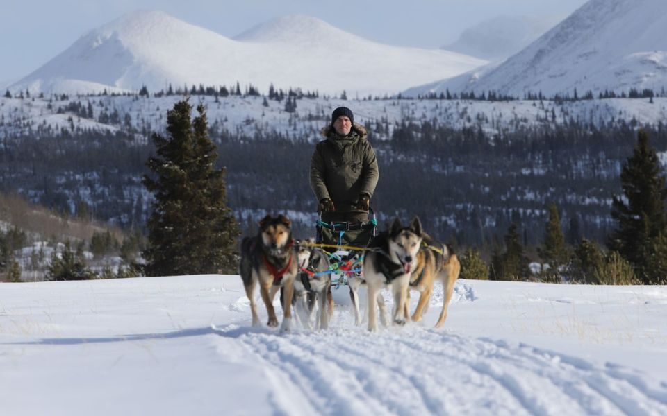 Gordon Buchanan standing on a snowy hill holding a sled pulled by four dogs.