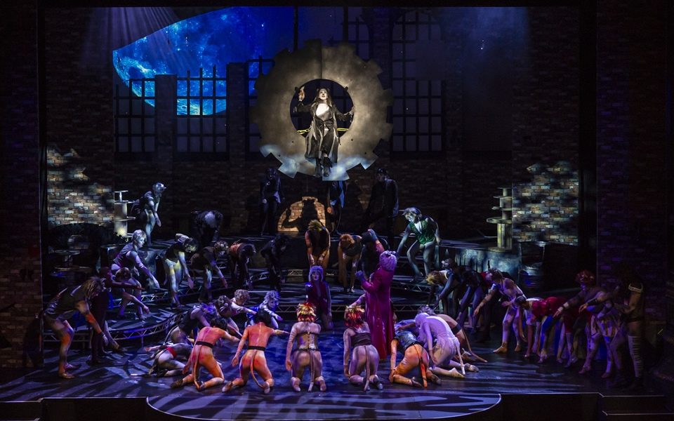 A production photo of Cats. A cast of actors/dancers dressed as cats kneel and bow towards a actor dressed as a cat standing on a raised platform with a spotlight on them.
