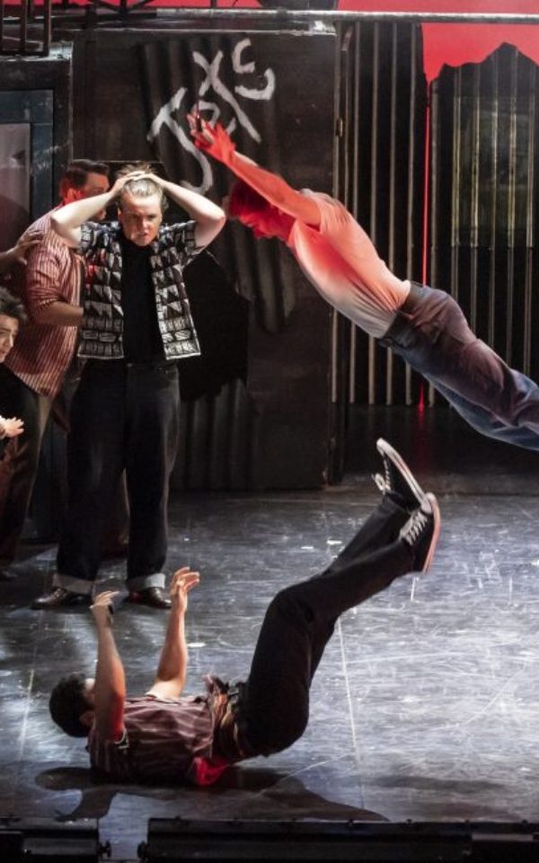A scene from LAOS's production of West Side Story. A man jumps in the air to attack another man on the floor as another man watches on with his hands on his head in horror.