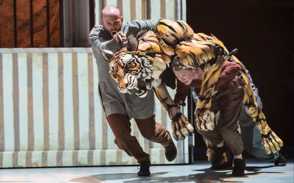 Two people puppeteering a lifesize tiger puppet running across the stage