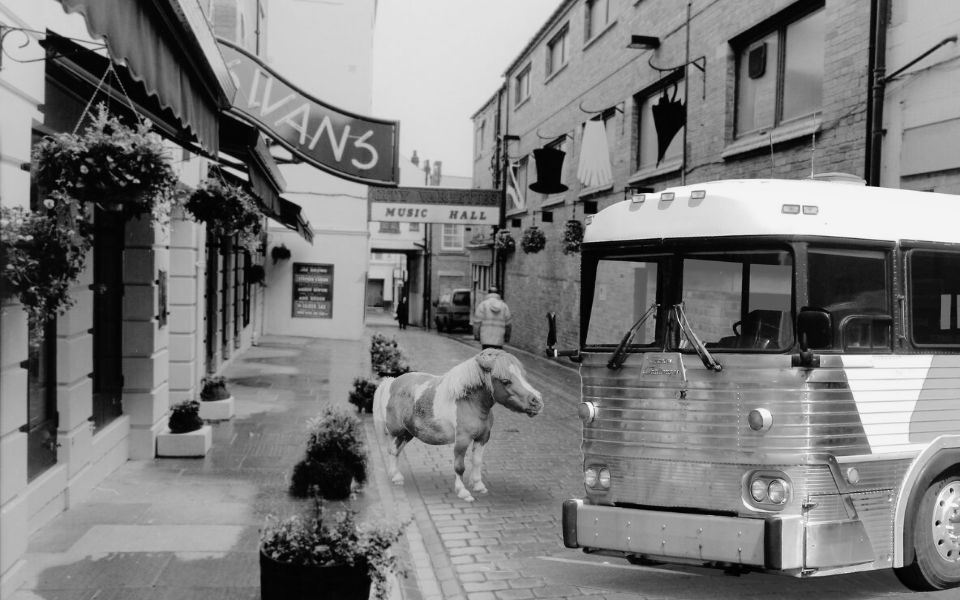 A miniature horse prepares to board a bus outside City Varieties Music Hall.
