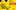 Zoomed in basic smiley face using a yellow background and black features. Text reads: Neil O'Brien Entertainment & Phil McIntyre Live Limited proudly present Kirk Field Rave New World. Acid House Cabaret. Wednesday 23 October 2024. City Varieties Music Hall. Special Guest Rob Tissera. 'Highly recommend' Fat Boy Slim.