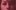 Zoomed in image of the cover of Martha Wainwright's self-titled debut album that features just a low quality image of her face with a pink-toned filter.