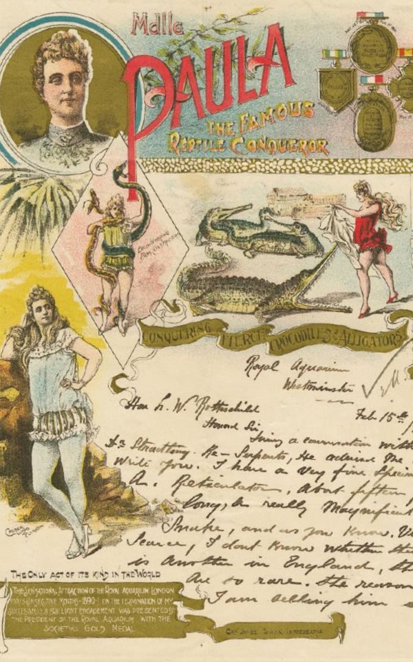 A promotional poster for Madame Paula, The Famous Reptile Conqueror, featuring illustrations of a female performer working with alligators, crocodiles and snakes.