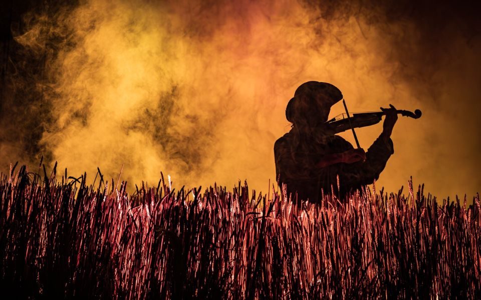 A fiddle player in a field of wheat, backlit in a deep orange fog