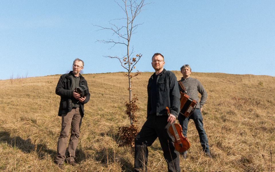 The three members of Leveret stand on a dry grassy hill and surround a bare tree. Each man holds an instrument and candidly looks off-camera.