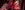 Shock Horror Herbert reaches dramatically toward the window of a projection room, lit in moody red
