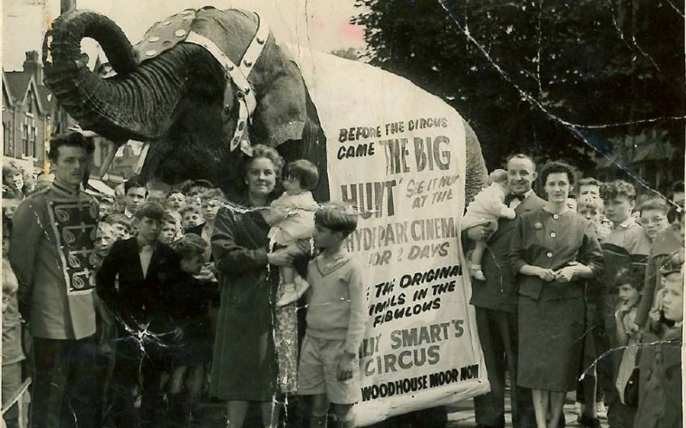 Old black and white photograph of an elephant surrounded by a crowd of people. It wears a sign saying 'The Big Hunt'. See it now at the Hyde Park Cinema.