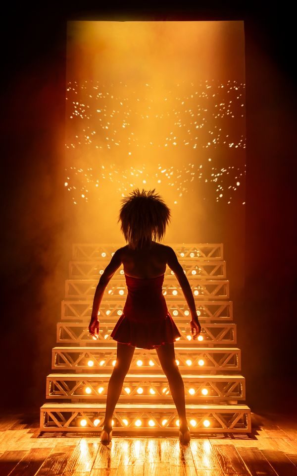 The silhouette of Tina Turner stands proud in front of a bright staircase and entrance emitting golden light, sparkles and smoke,