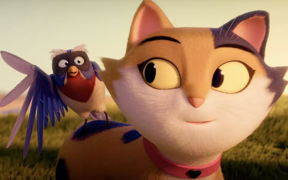 An animated ginger cat with a pink collar smiles and looks to the the red-crested bird on its back, grass visible in the background.
