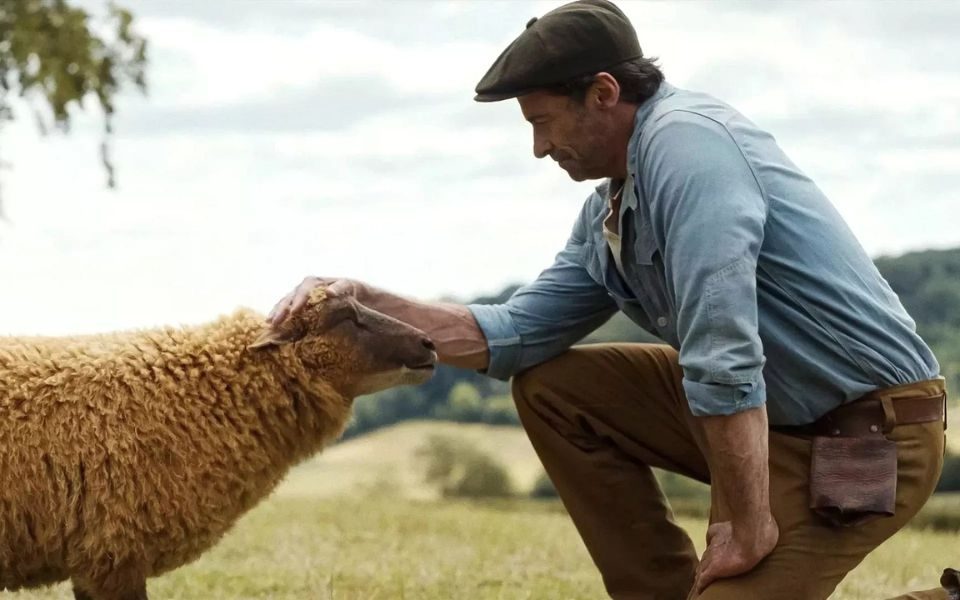 In a field, a man in a flat cap strokes the head of a sheep looking at him.