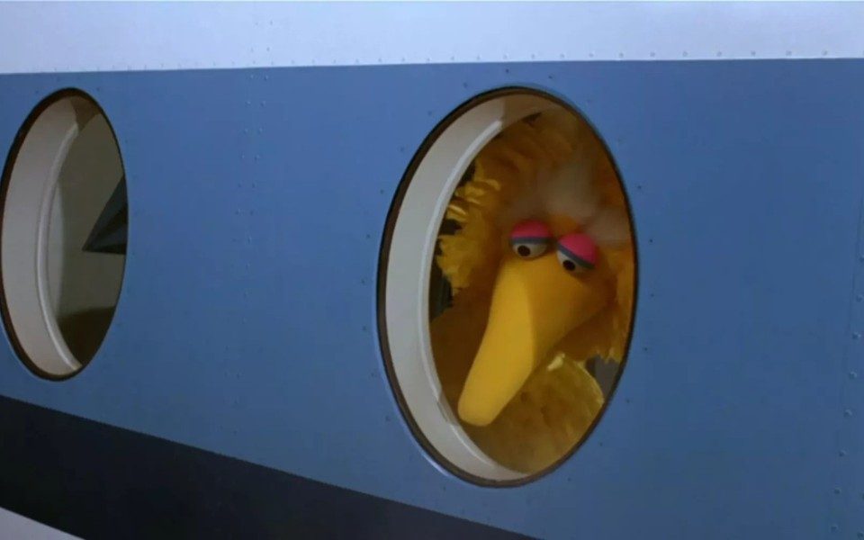 Big Bird, a yellow bird puppet with a long beak, peers out of a circular window.