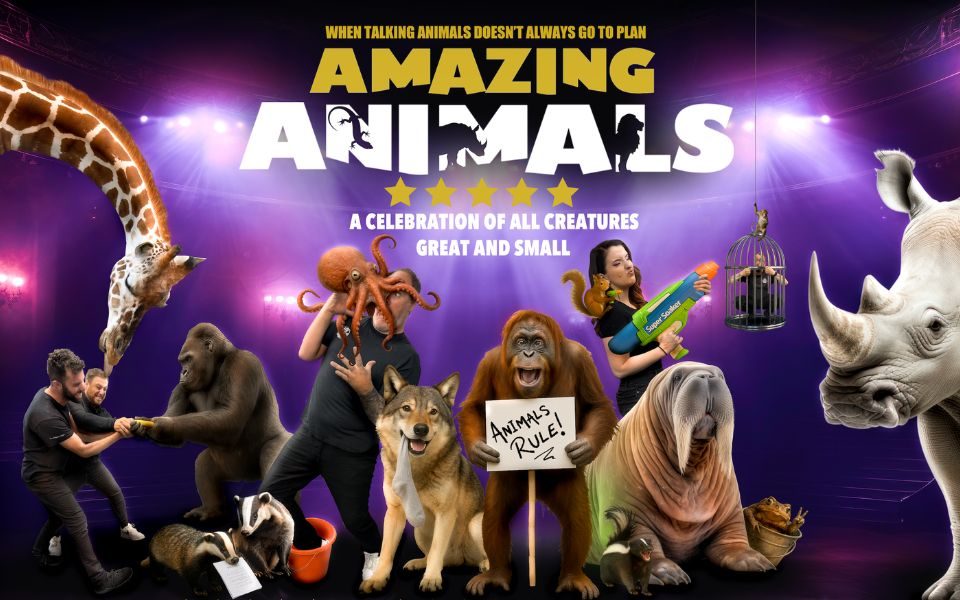 Collage of animals and humans in comic altercations, including an octopus on a man's head, a man stuck in a bird cage, a woman and a squirrel holding water pistols, two men and a gorilla wrestling over a banana, and in the centre, an orangutan holding a sign that reads 'Animals rule!' Text reads: When talking animals doesn't always go to plan. Amazing Animals. 5 stars. A celebration of all creatures great and small.