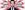 Jimmy Carr smirks in a black suit and tie, in front of a textured stripy red and white background. Text reads: Chambers Touring presents: Jimmy Carr: Killing Jokes. Brand new live show.